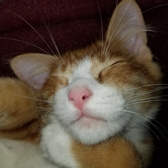 Meet the Posher Other - Meet your Posher, Michael